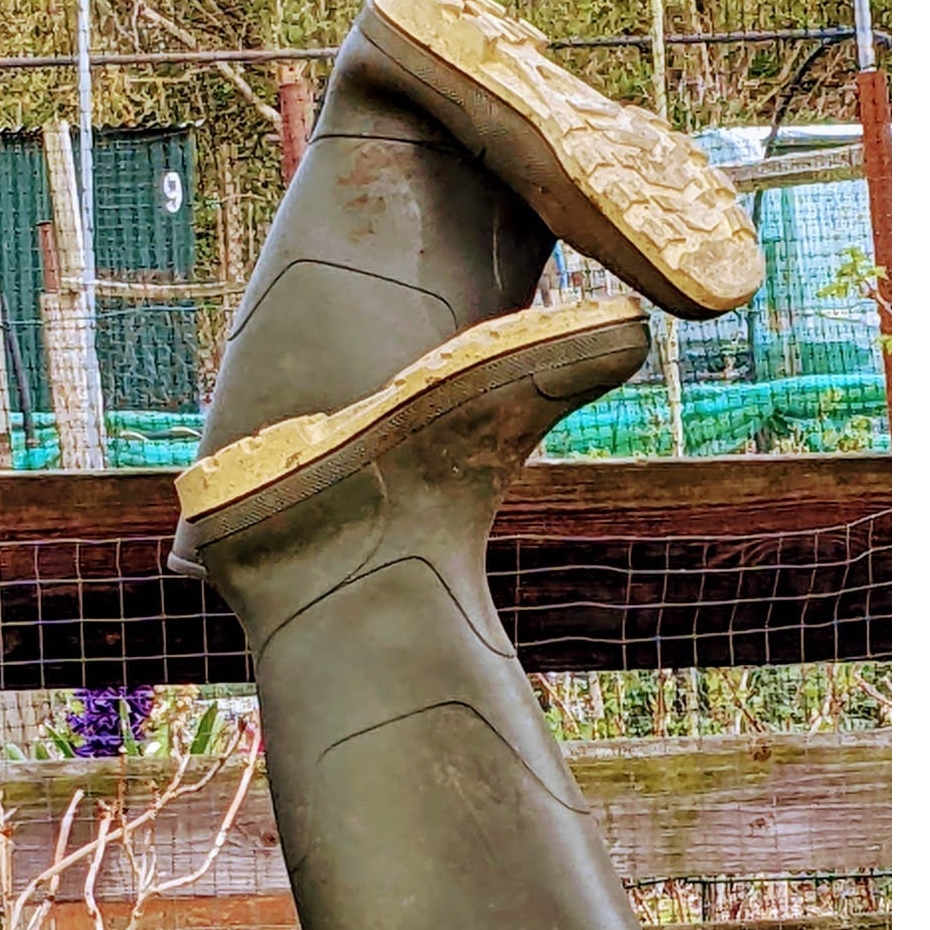 Wellies